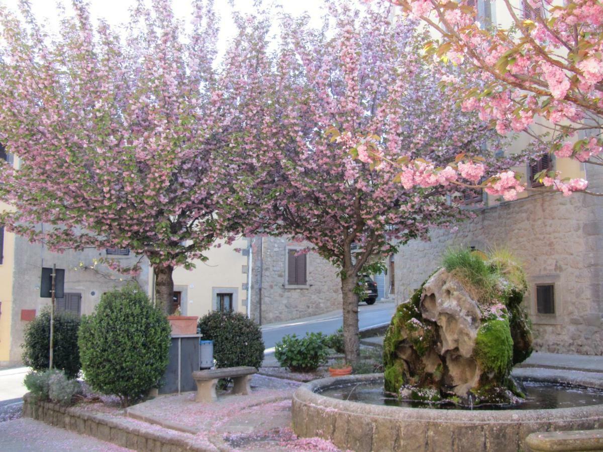 Apartamento Casa Giuly Vivo dʼOrcia Exterior foto